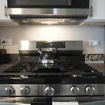 Cozy Apt Near Midway Airport & Downtown